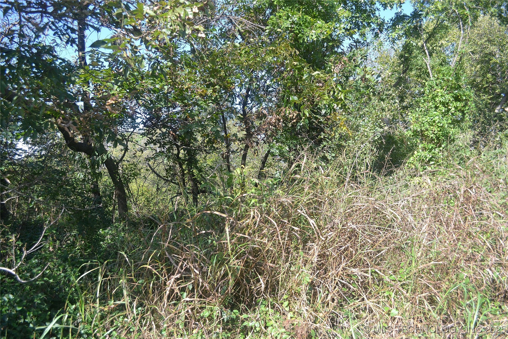 627 Tinker Avenue Property Photo 3