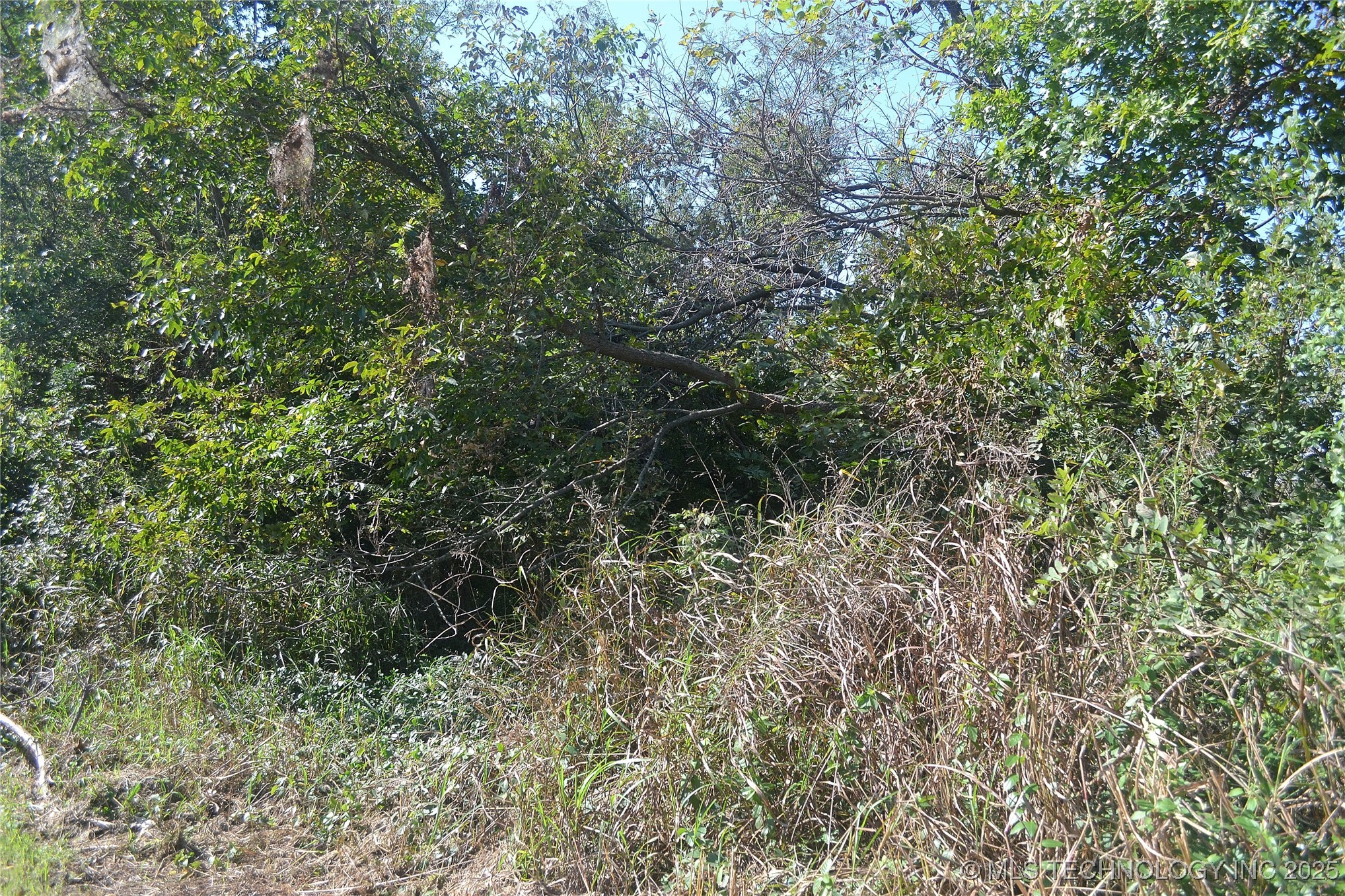 627 Tinker Avenue Property Photo 4