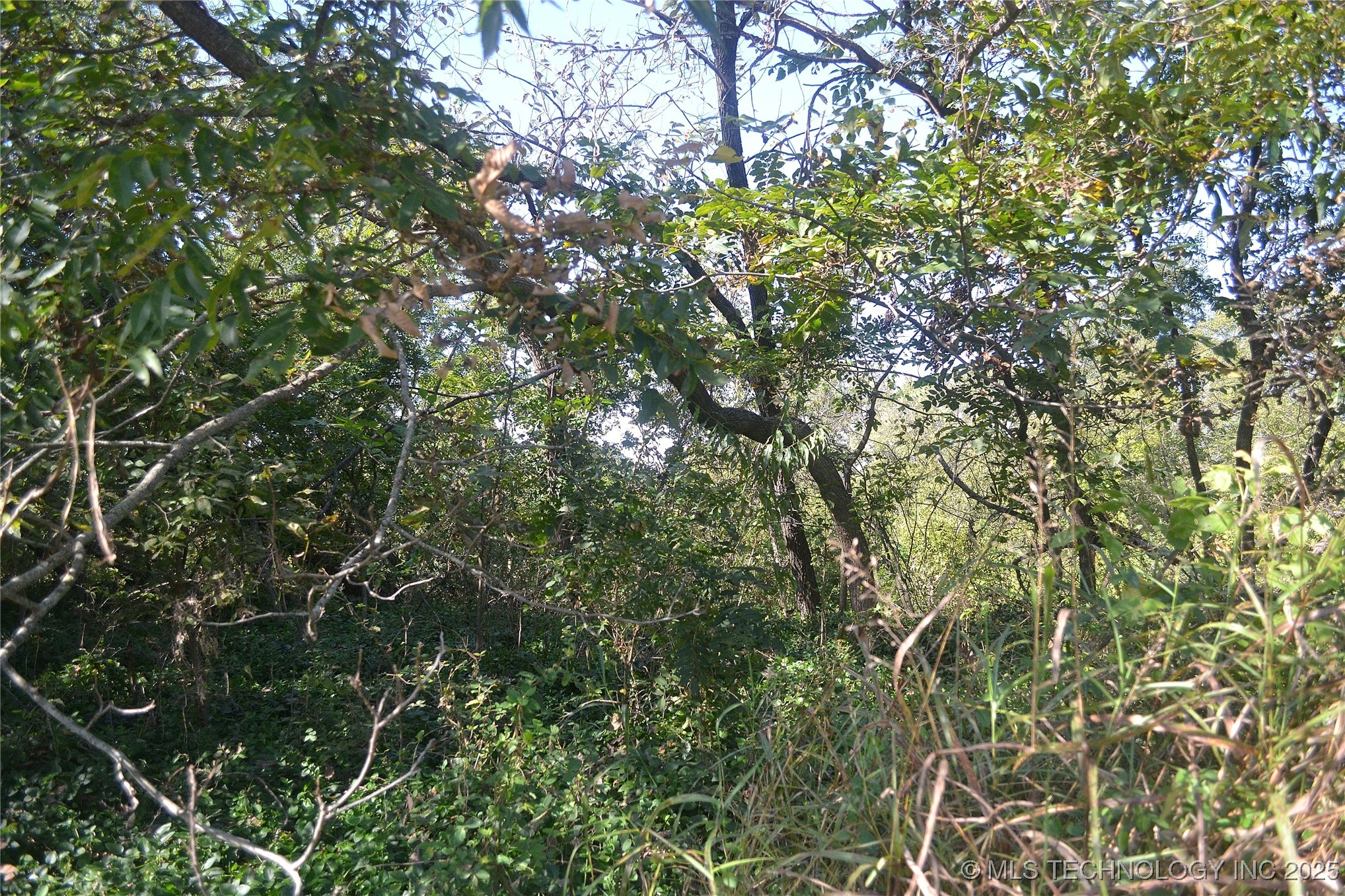 627 Tinker Avenue Property Photo 5