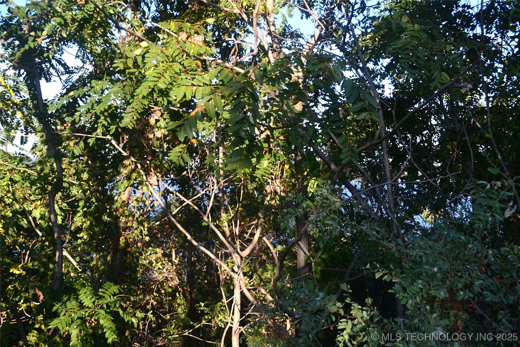 5999 E 109th Street North Property Photo 3