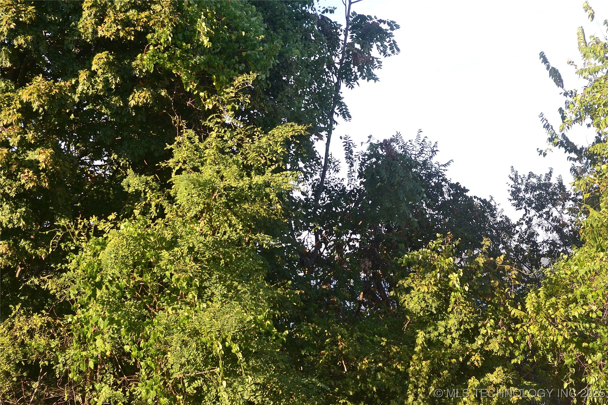 5999 E 109th Street North Property Photo 4