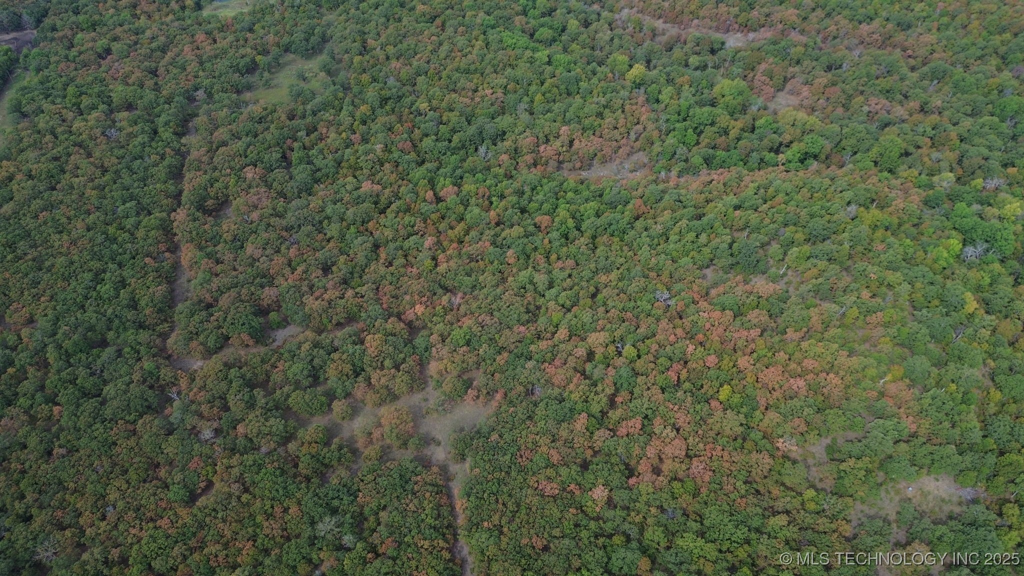 16863 N 116th West Avenue Property Photo 3