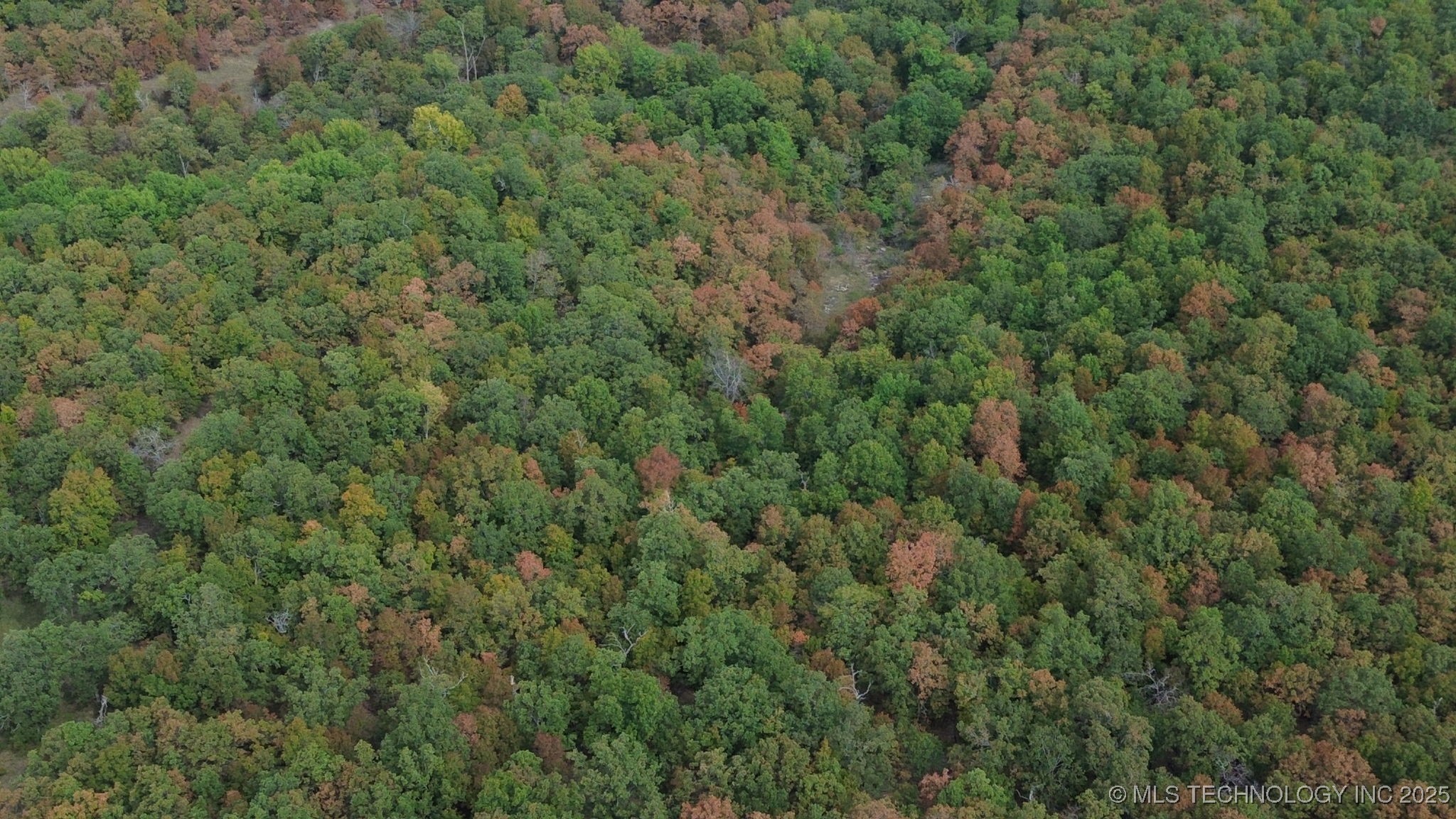 16863 N 116th West Avenue Property Photo 6