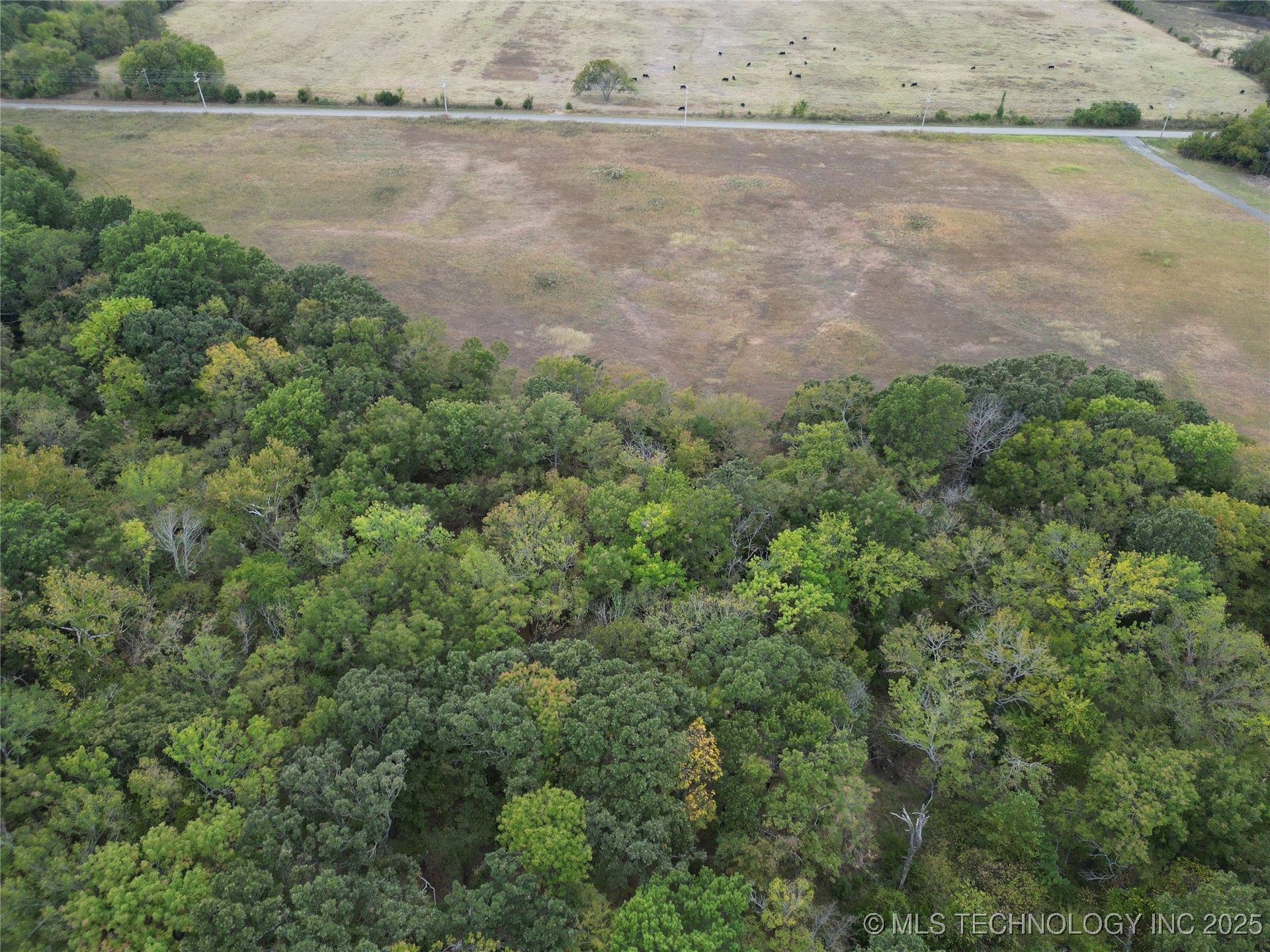 3 E Coon Creek Property Photo 6