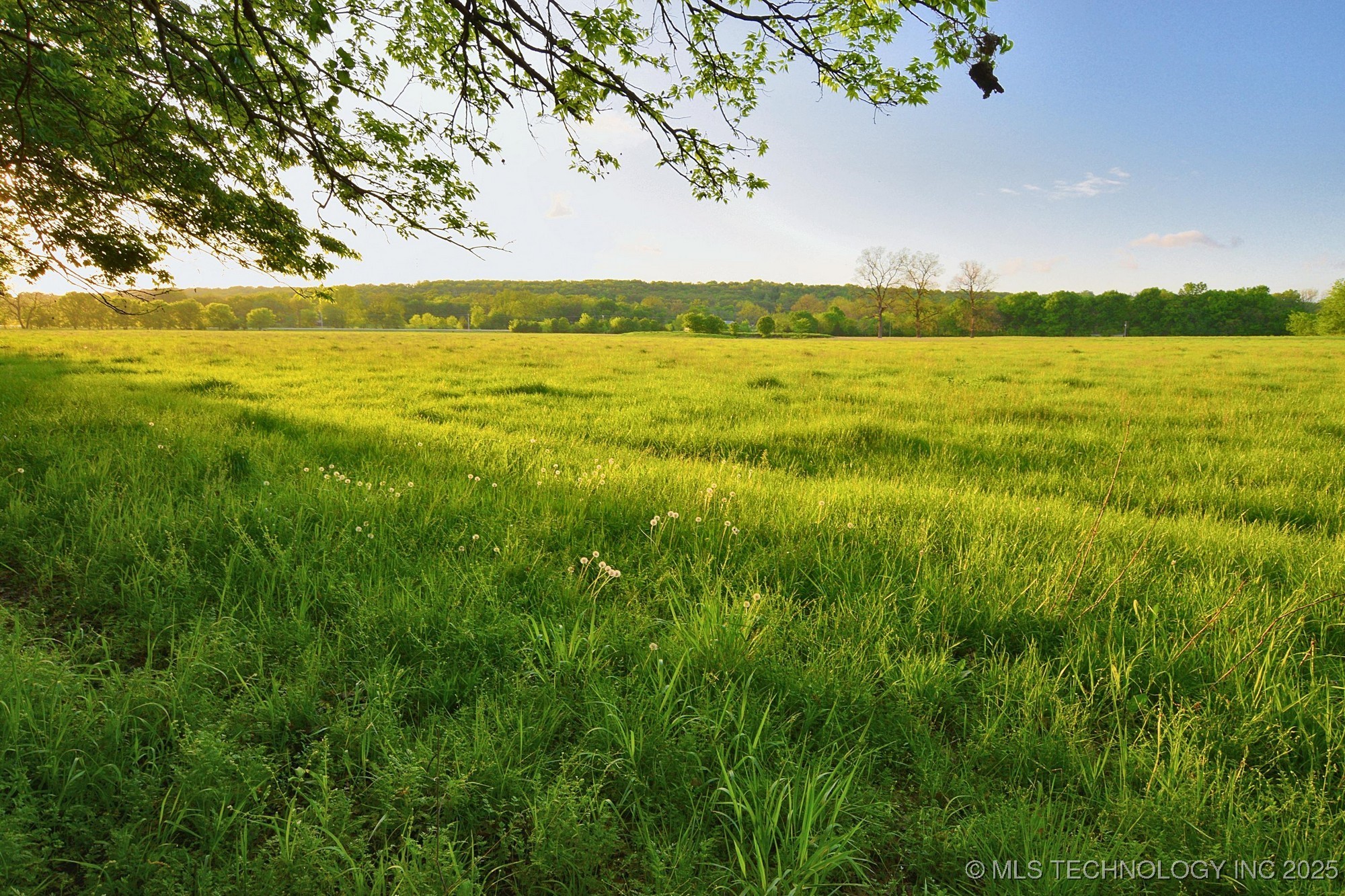 14351 Hwy 62 Property Photo 5