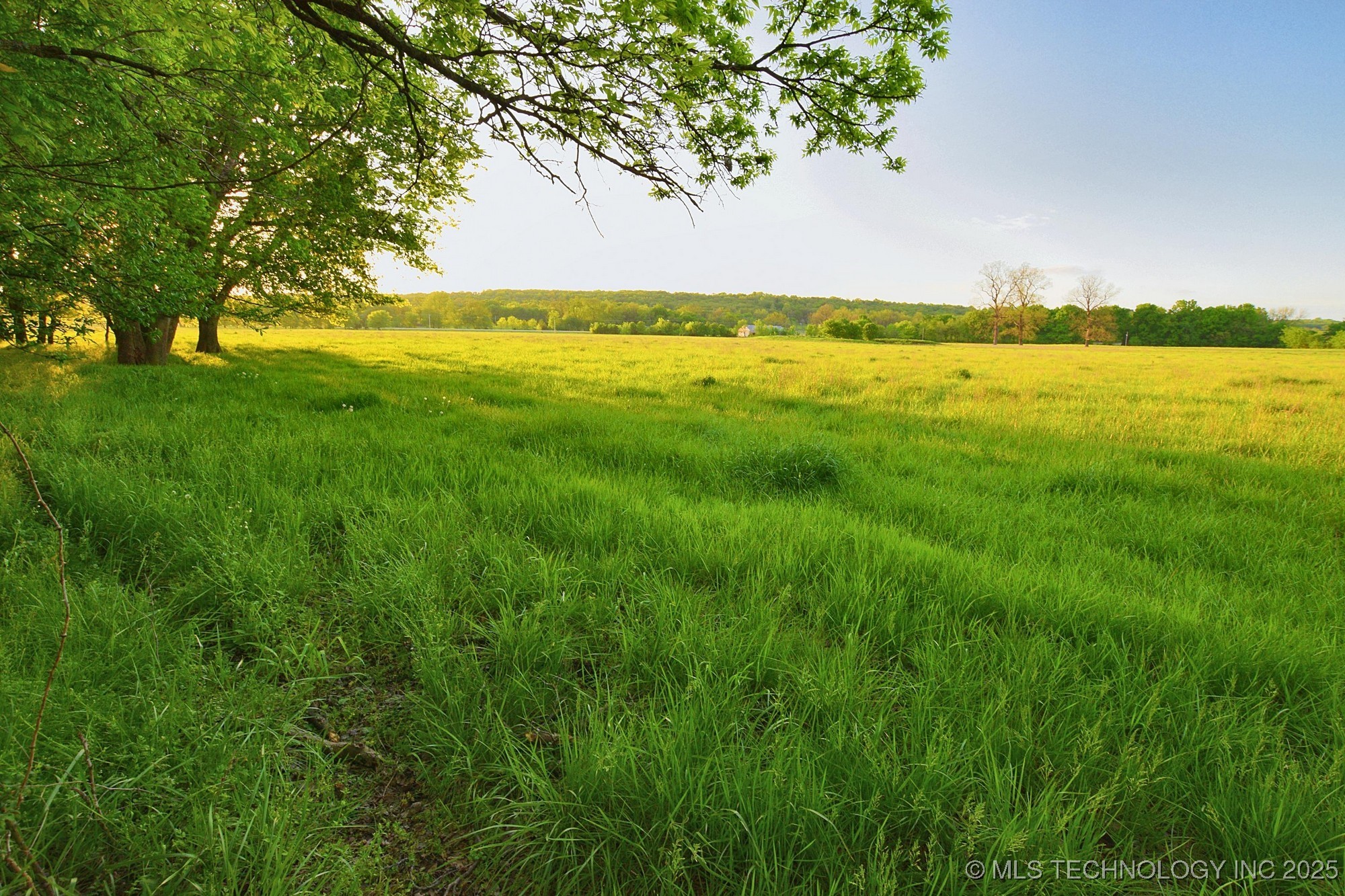 14351 Hwy 62 Property Photo 6