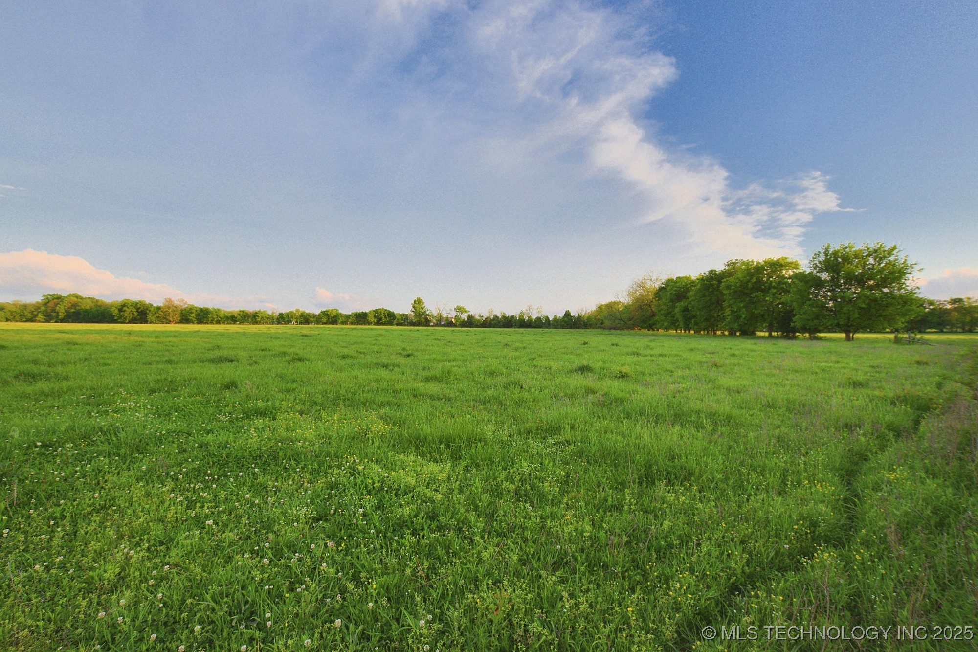 14351 Hwy 62 Property Photo 12