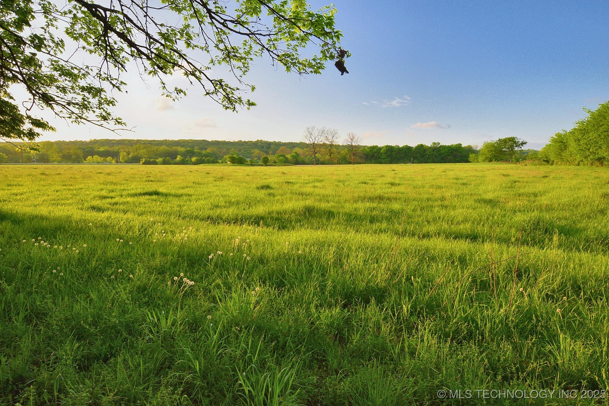 14351 Hwy 62 Property Photo 13