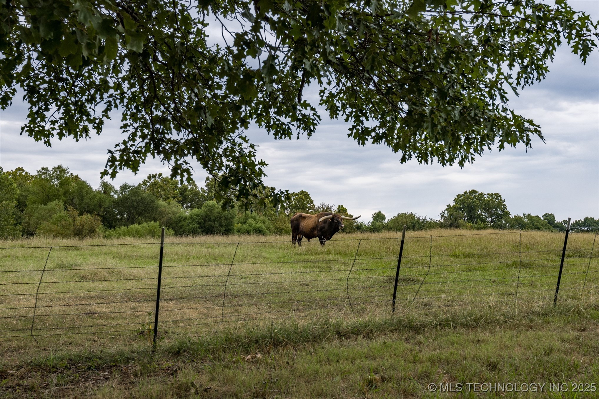 12717 S Chisolm Property Photo 67