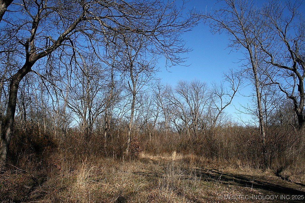 8710 County Road 1550 Property Photo 23
