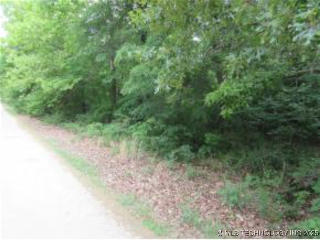 303 Hummingbird Lane Property Photo 6