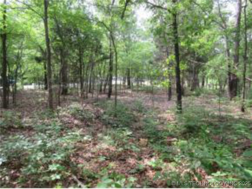 309 Bower Road Property Photo 9