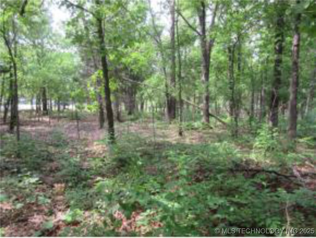 309 Bower Road Property Photo 10