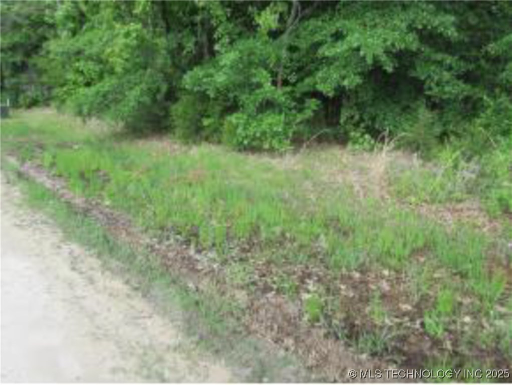 310 Bower Road Property Photo 5