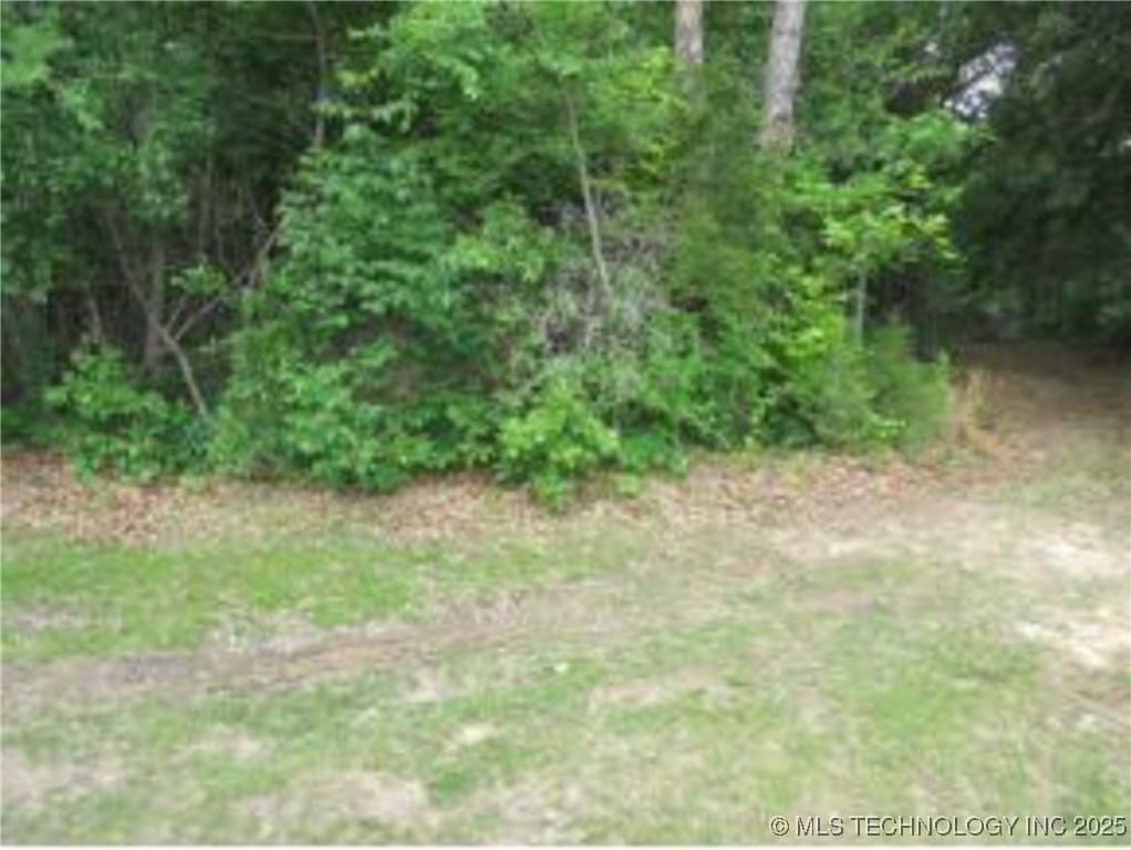 310 Bower Road Property Photo 6