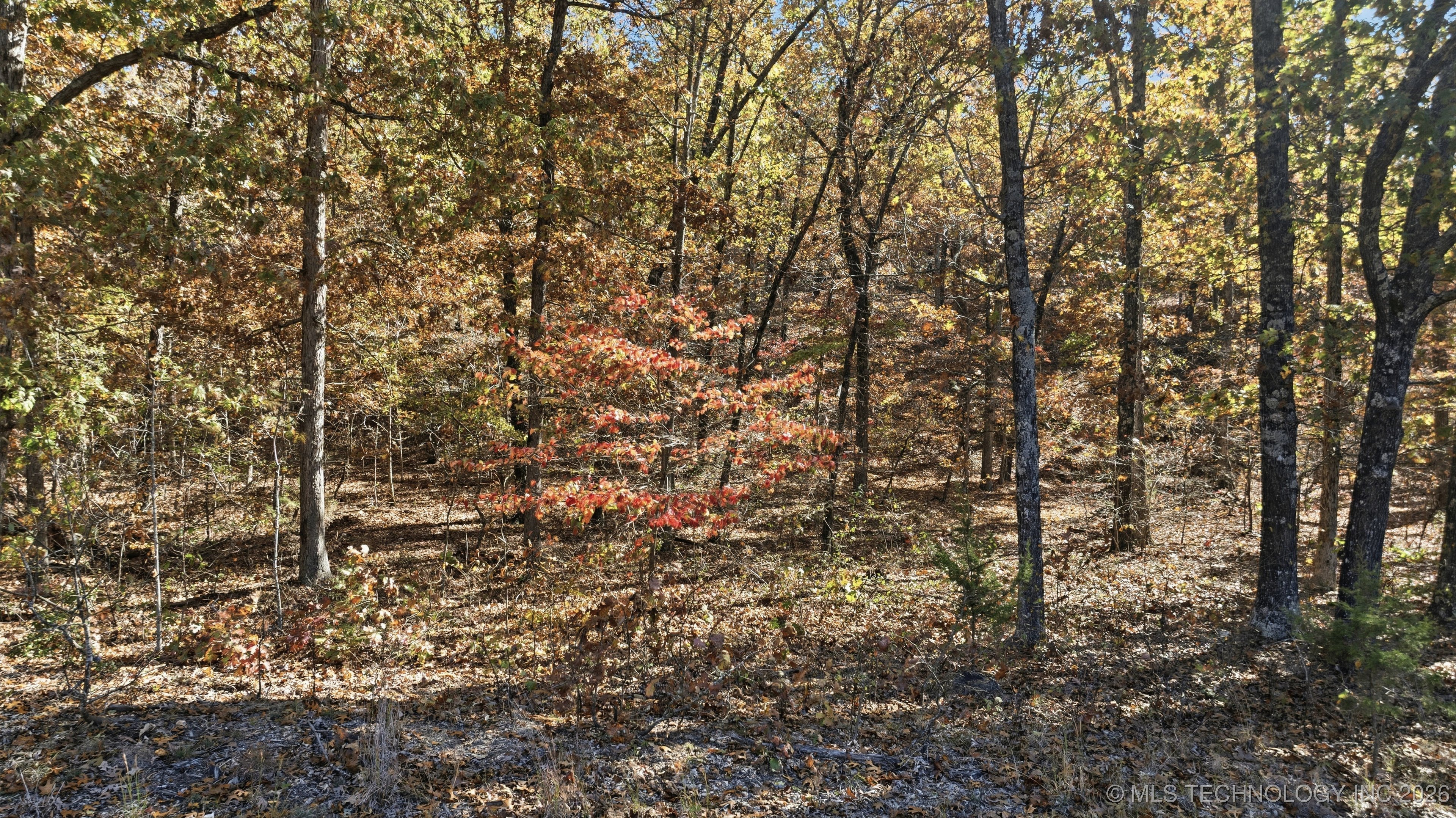 S Qualls Road Property Photo 6