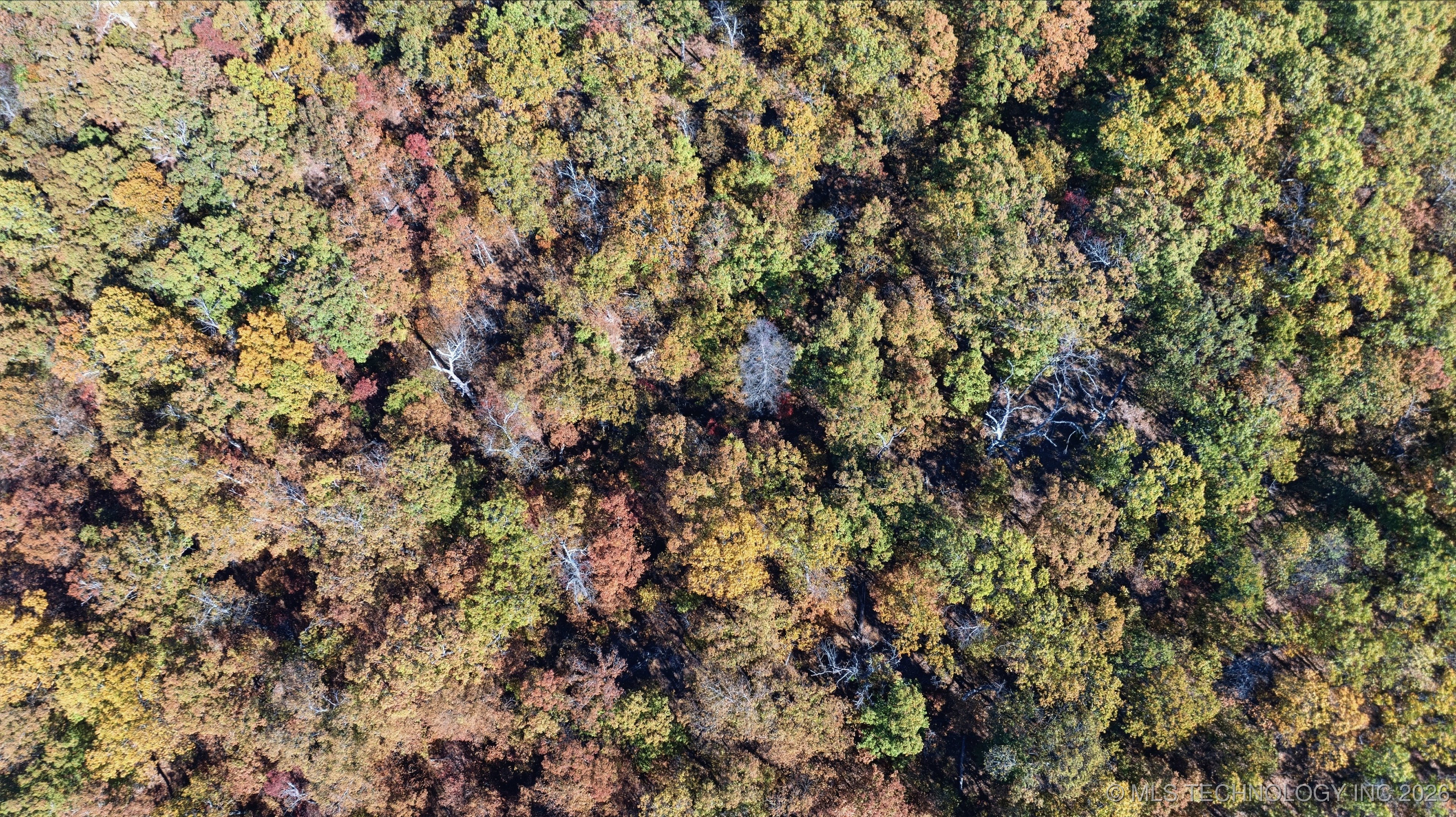 S Qualls Road Property Photo 7