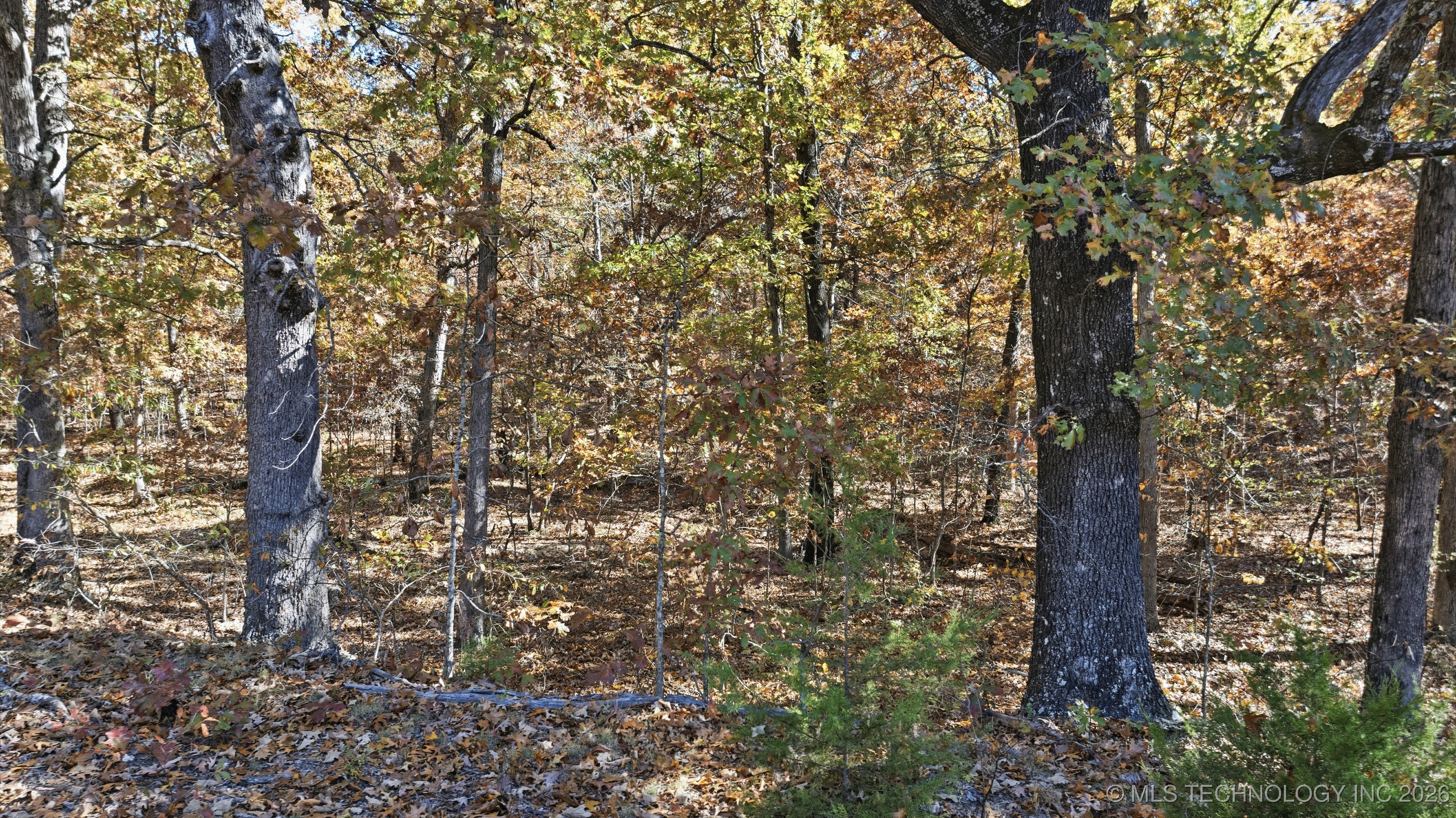 S Qualls Road Property Photo 19