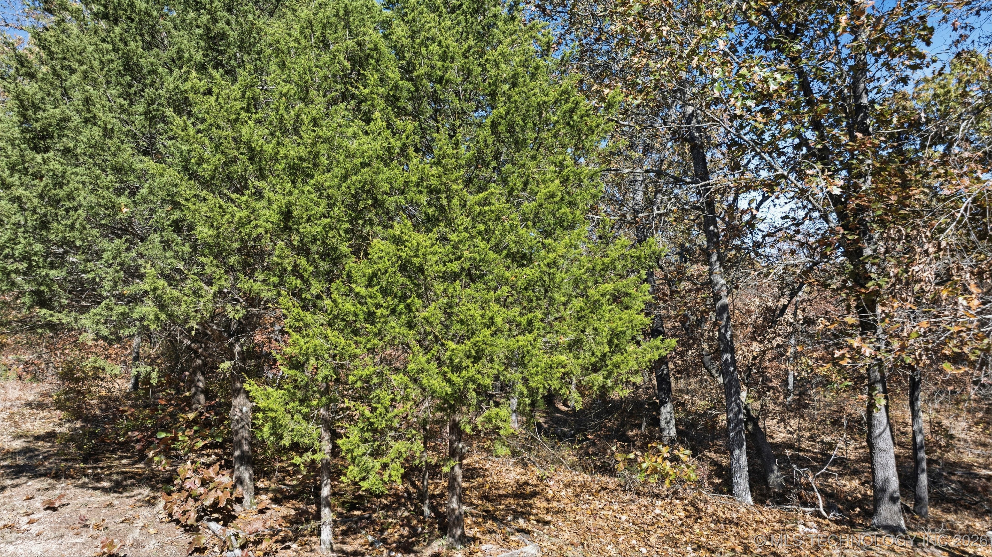 S Qualls Road Property Photo 20