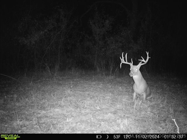 60 S 137th West Avenue Property Photo 65