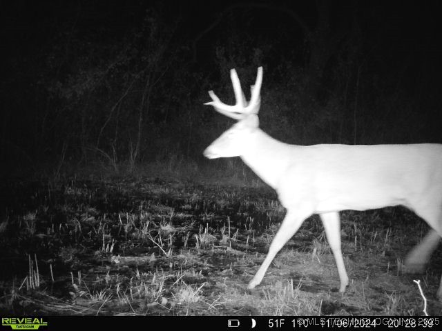 60 S 137th West Avenue Property Photo 66