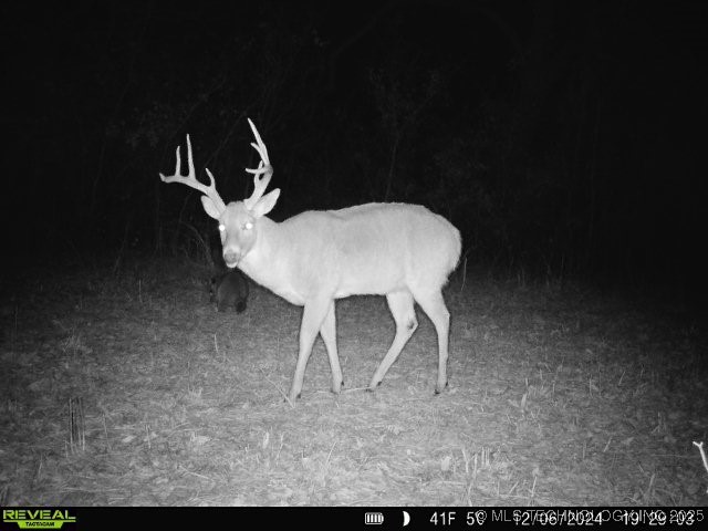 60 S 137th West Avenue Property Photo 68