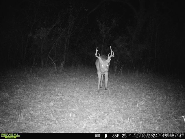 60 S 137th West Avenue Property Photo 69