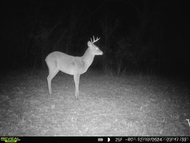 60 S 137th West Avenue Property Photo 70