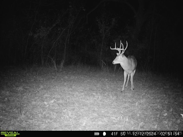 60 S 137th West Avenue Property Photo 71