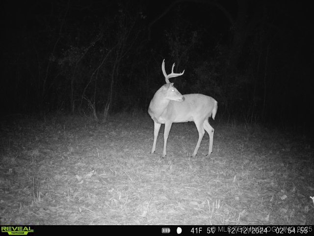 60 S 137th West Avenue Property Photo 72