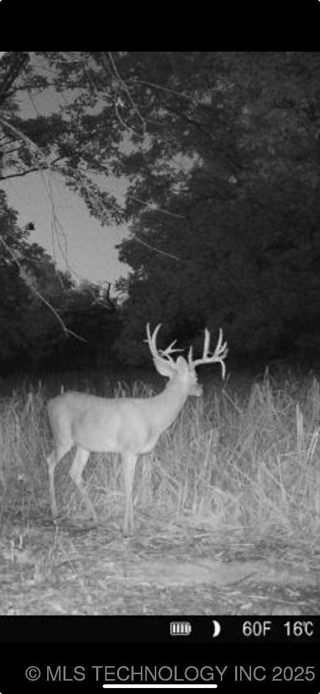 60 S 137th West Avenue Property Photo 73