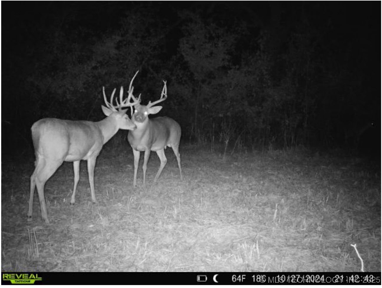 60 S 137th West Avenue Property Photo 75