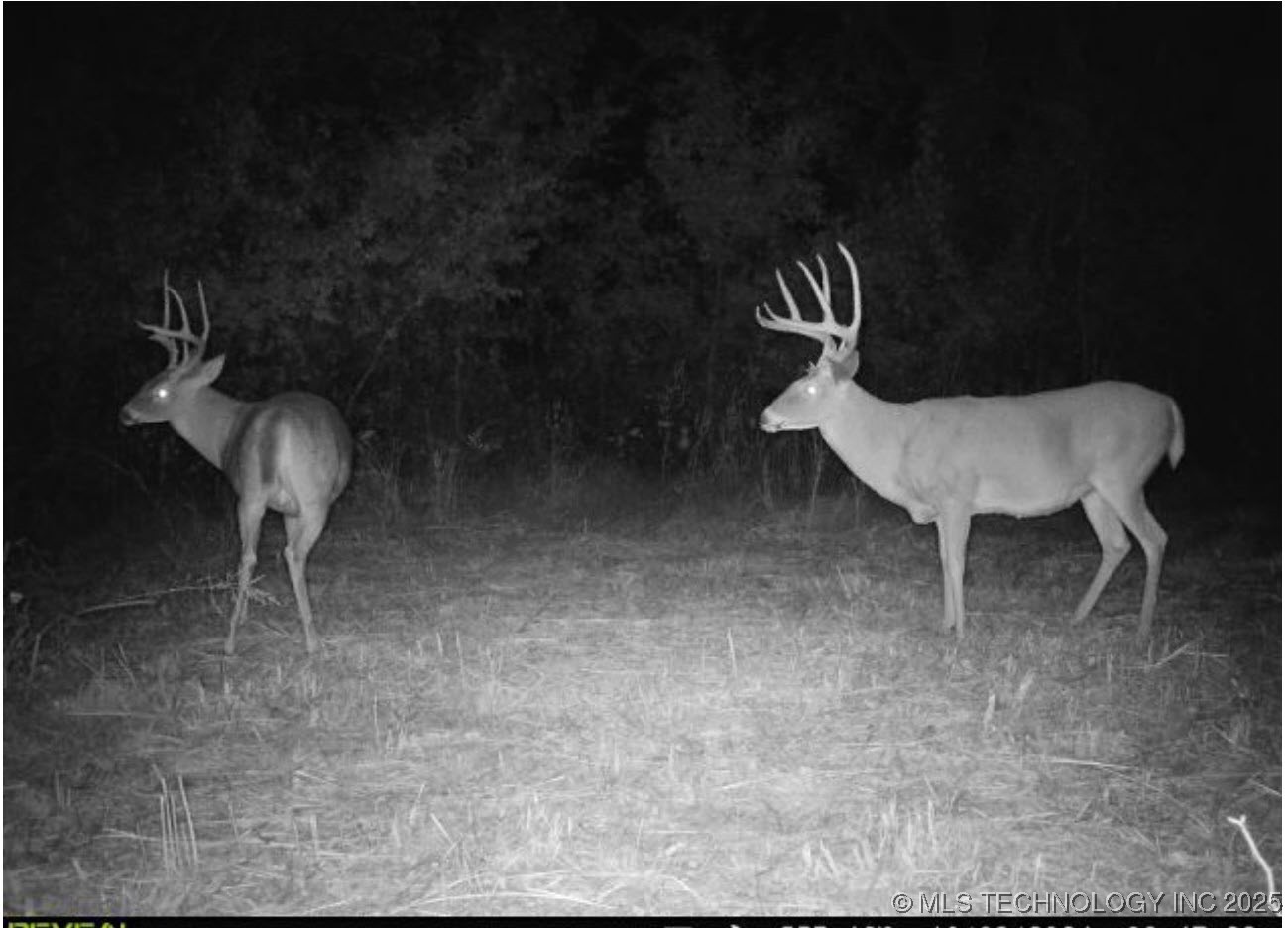 60 S 137th West Avenue Property Photo 76