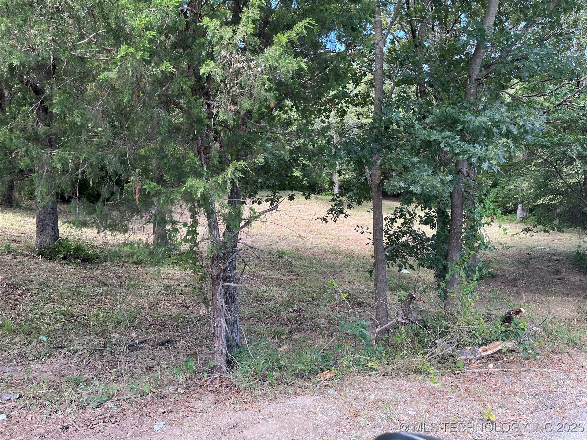 0 Monte Vista Property Photo 2