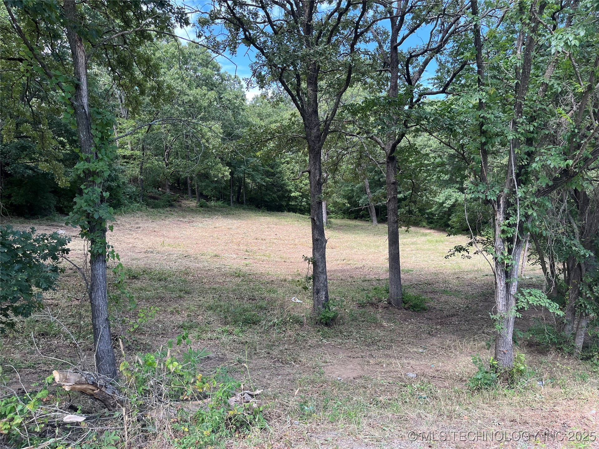 0 Monte Vista Property Photo 4