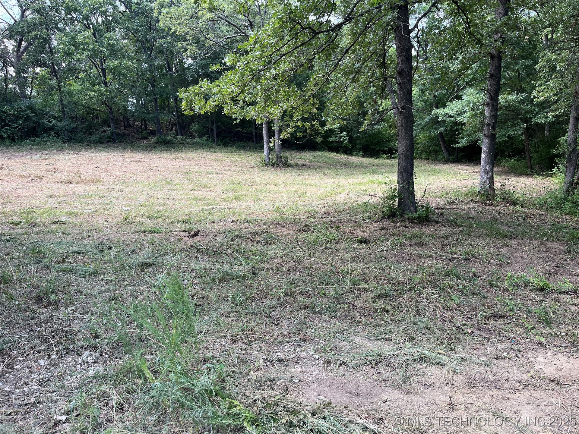 0 Monte Vista Property Photo 5