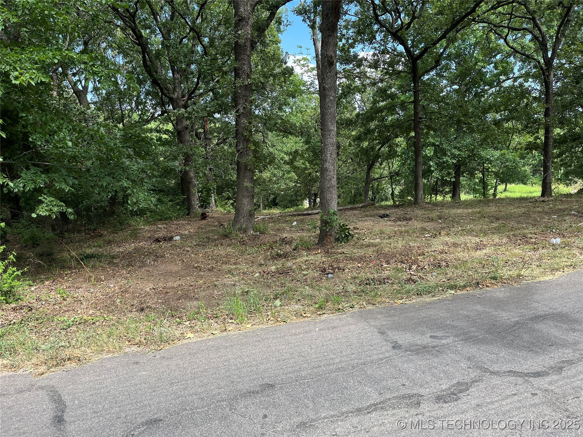 0 Monte Vista Property Photo 8