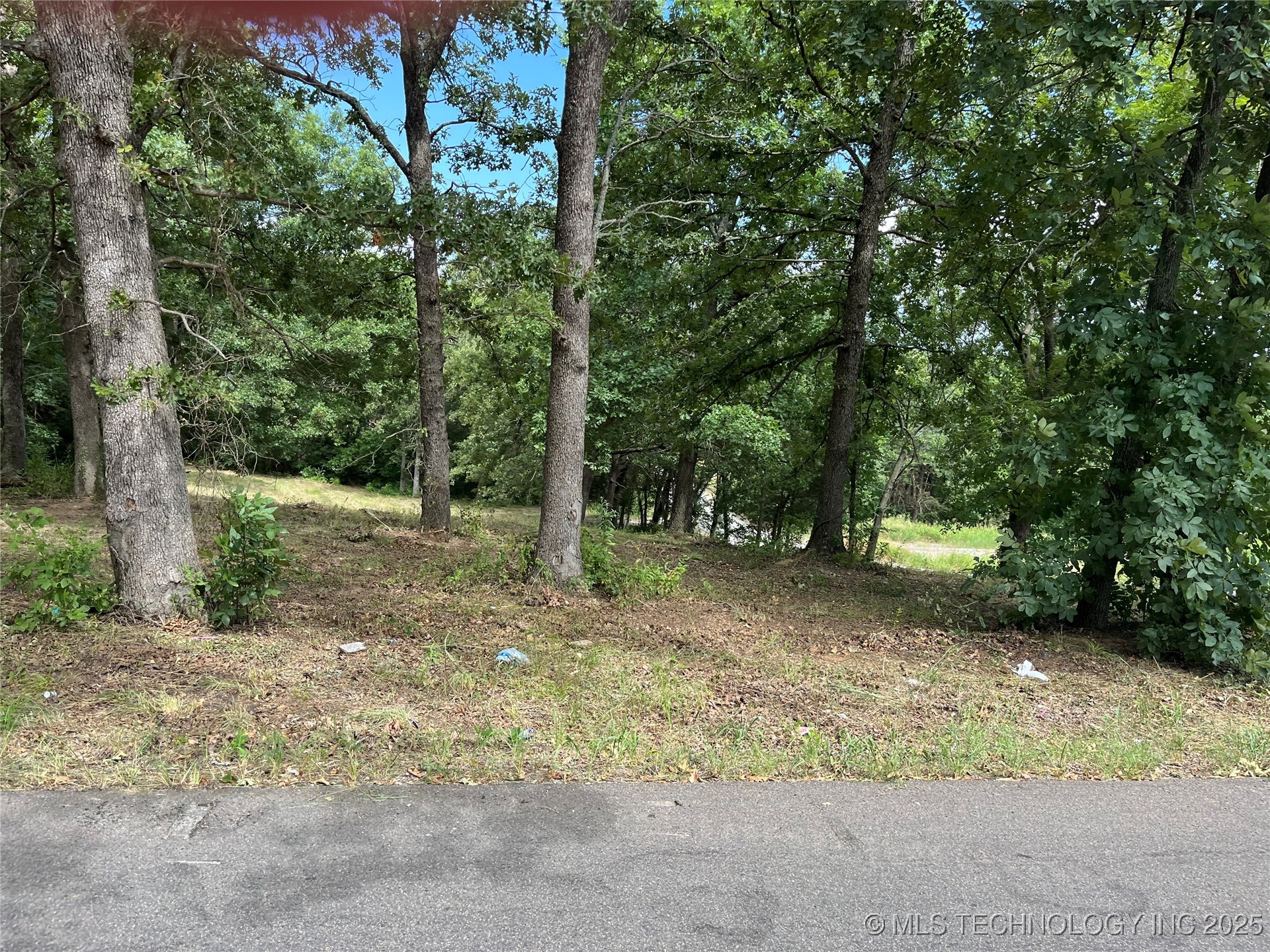 0 Monte Vista Property Photo 9