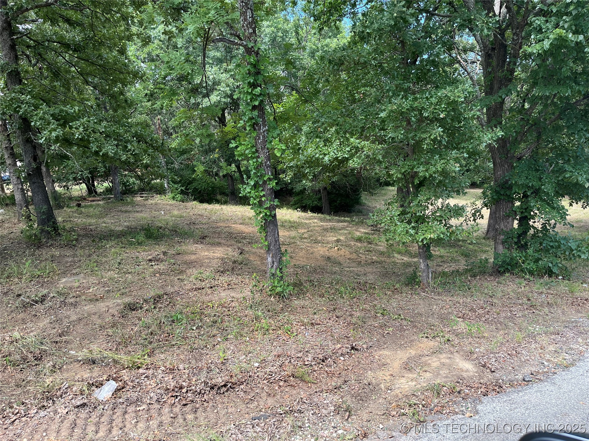 0 Monte Vista Property Photo 10