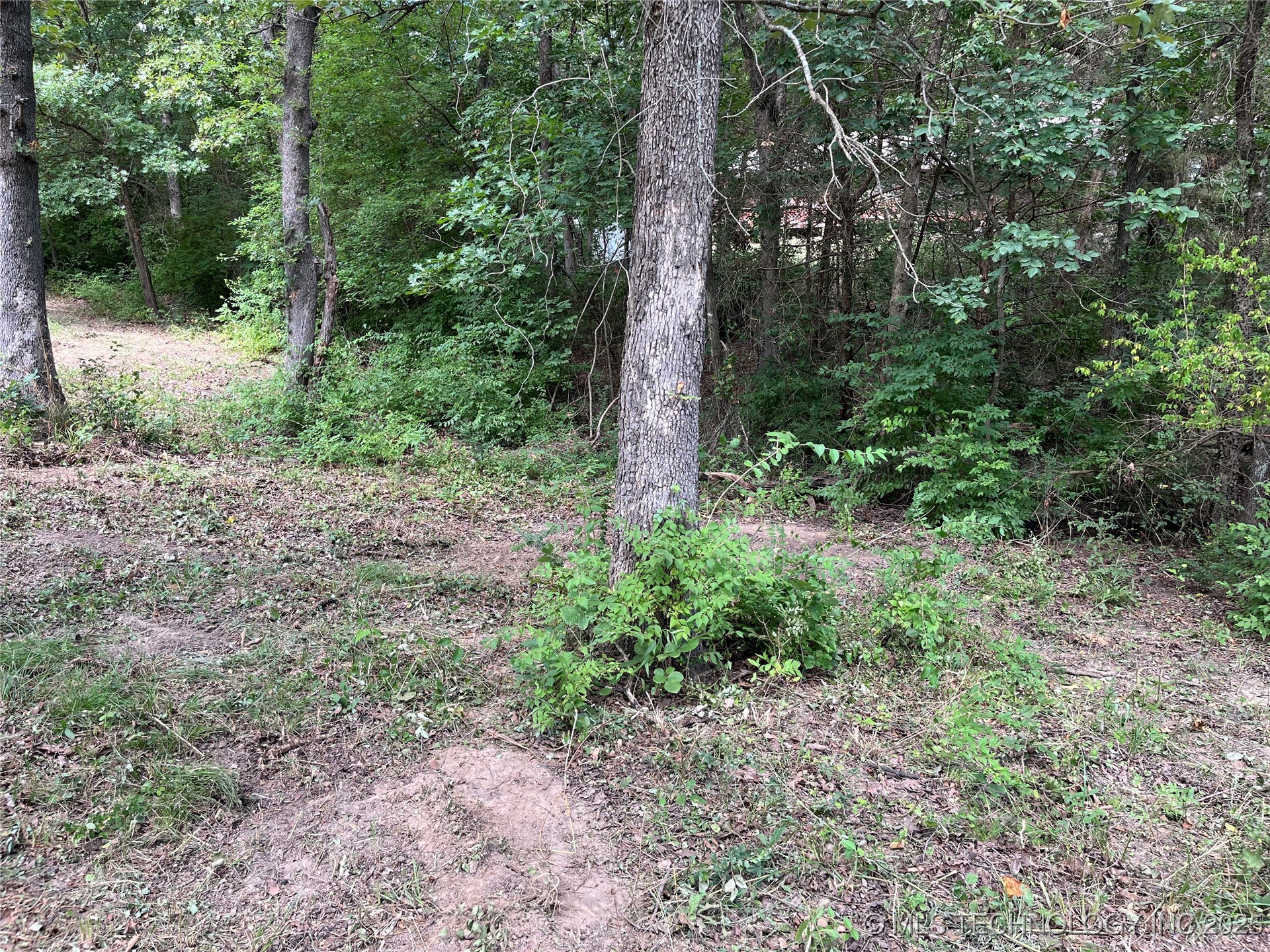 0 Monte Vista Property Photo 12