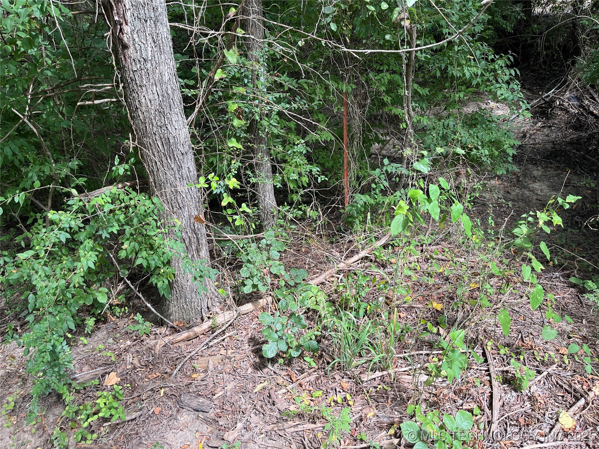 0 Monte Vista Property Photo 13