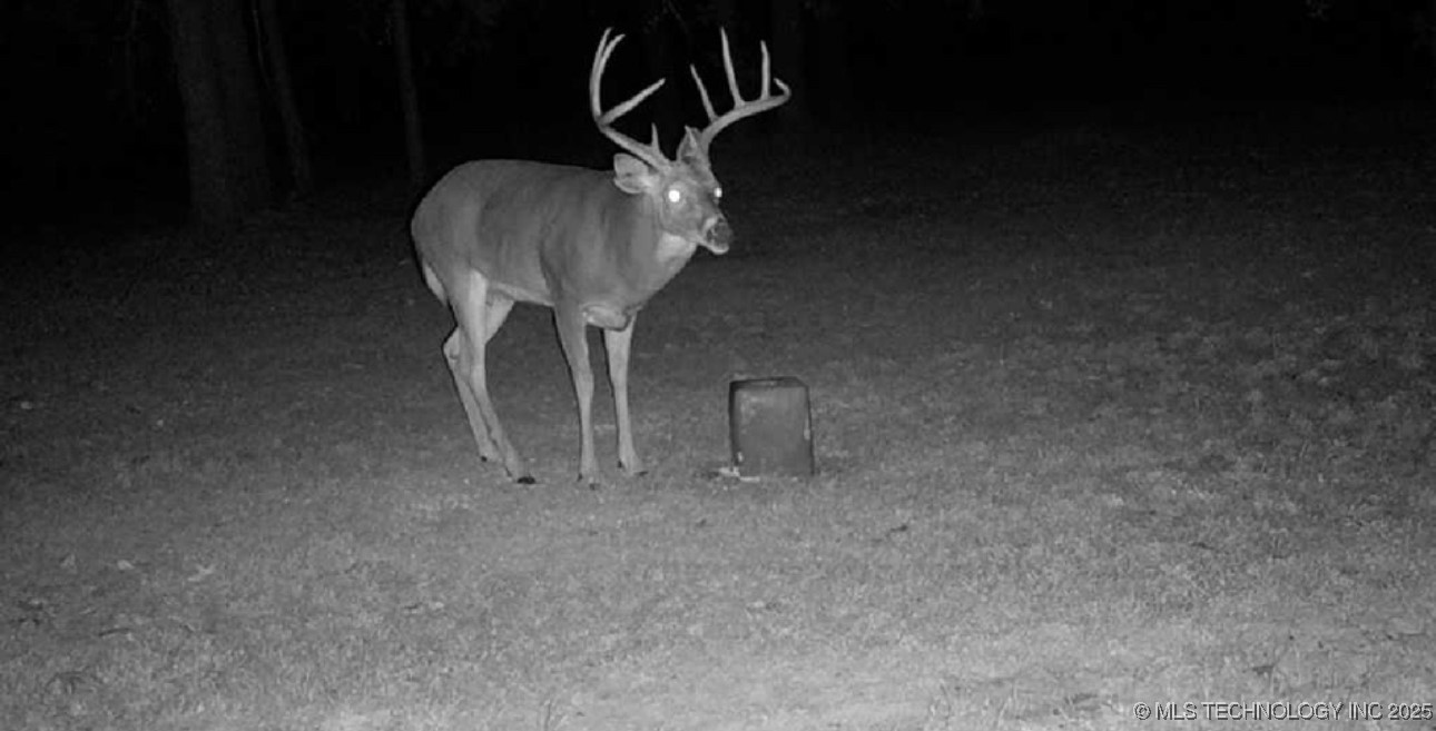 10698 S Childrens Lane Property Photo 39