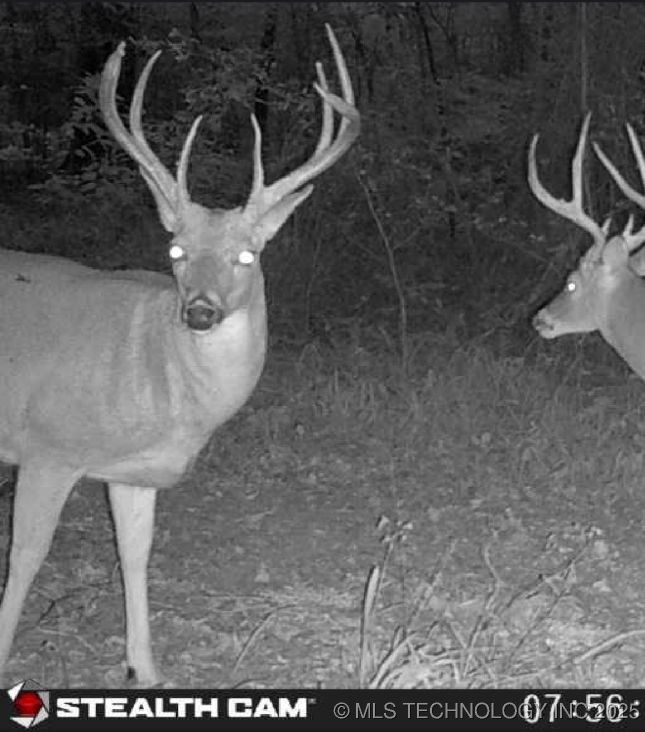 10698 S Childrens Lane Property Photo 40