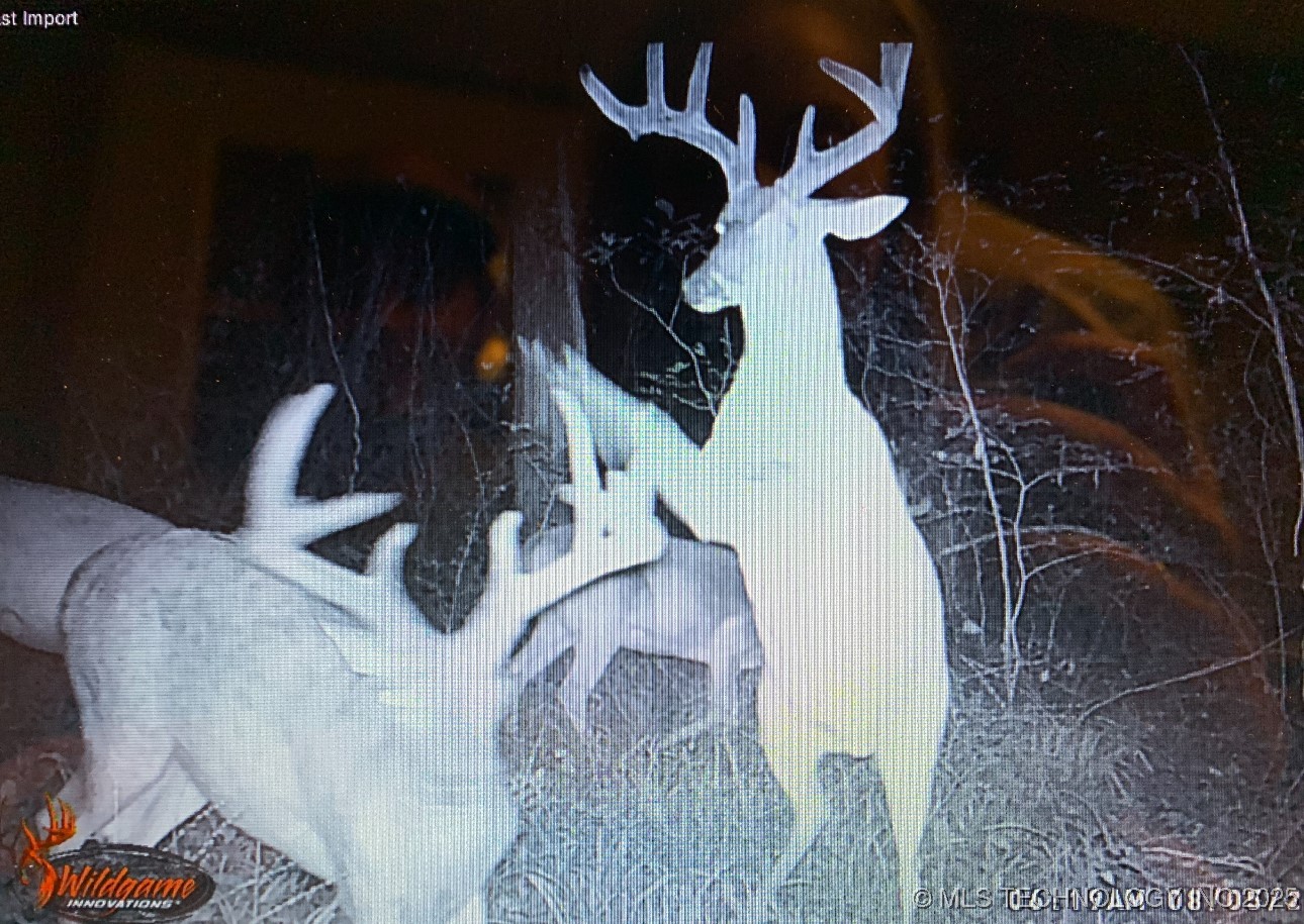 10698 S Childrens Lane Property Photo 41