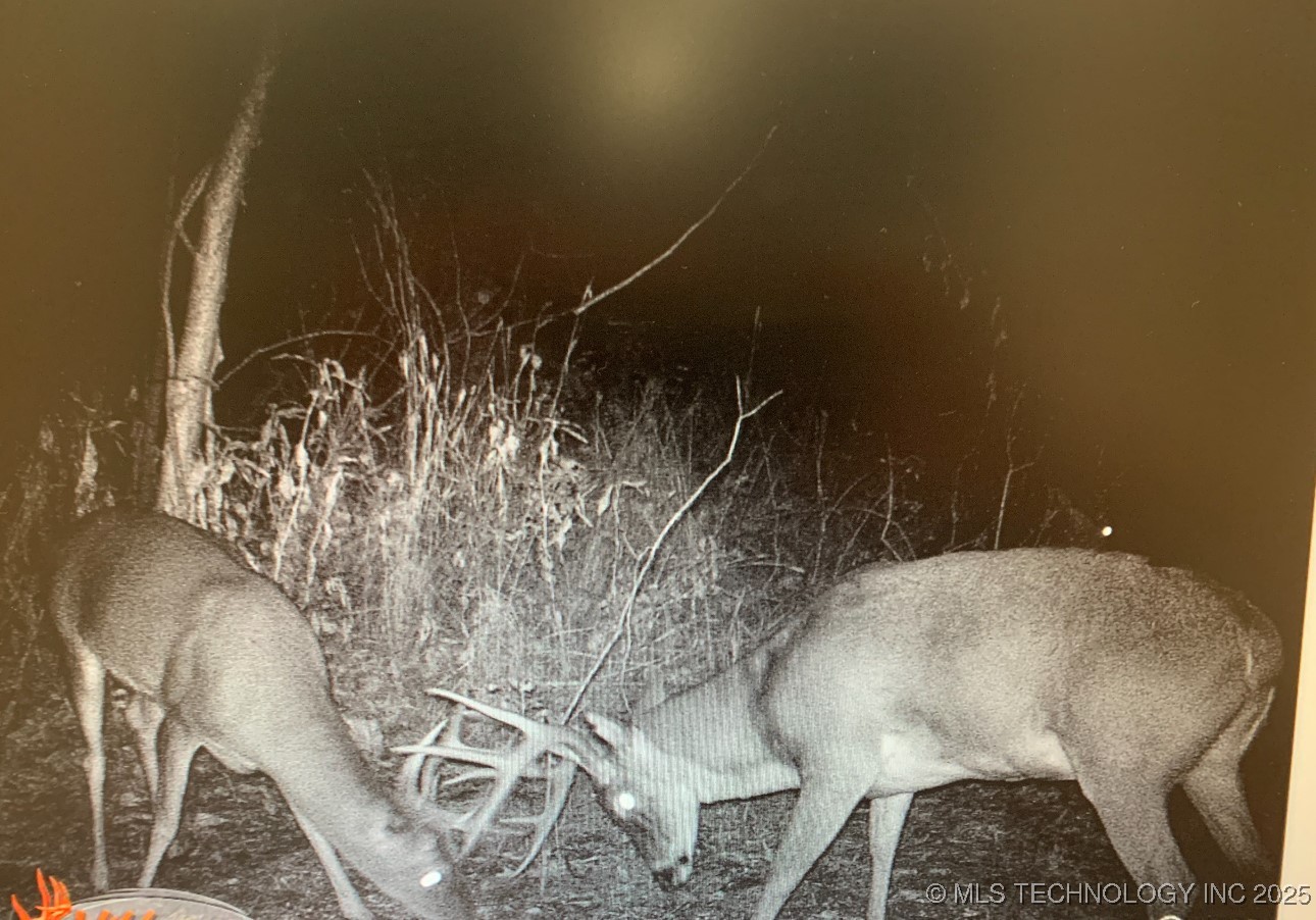 10698 S Childrens Lane Property Photo 42