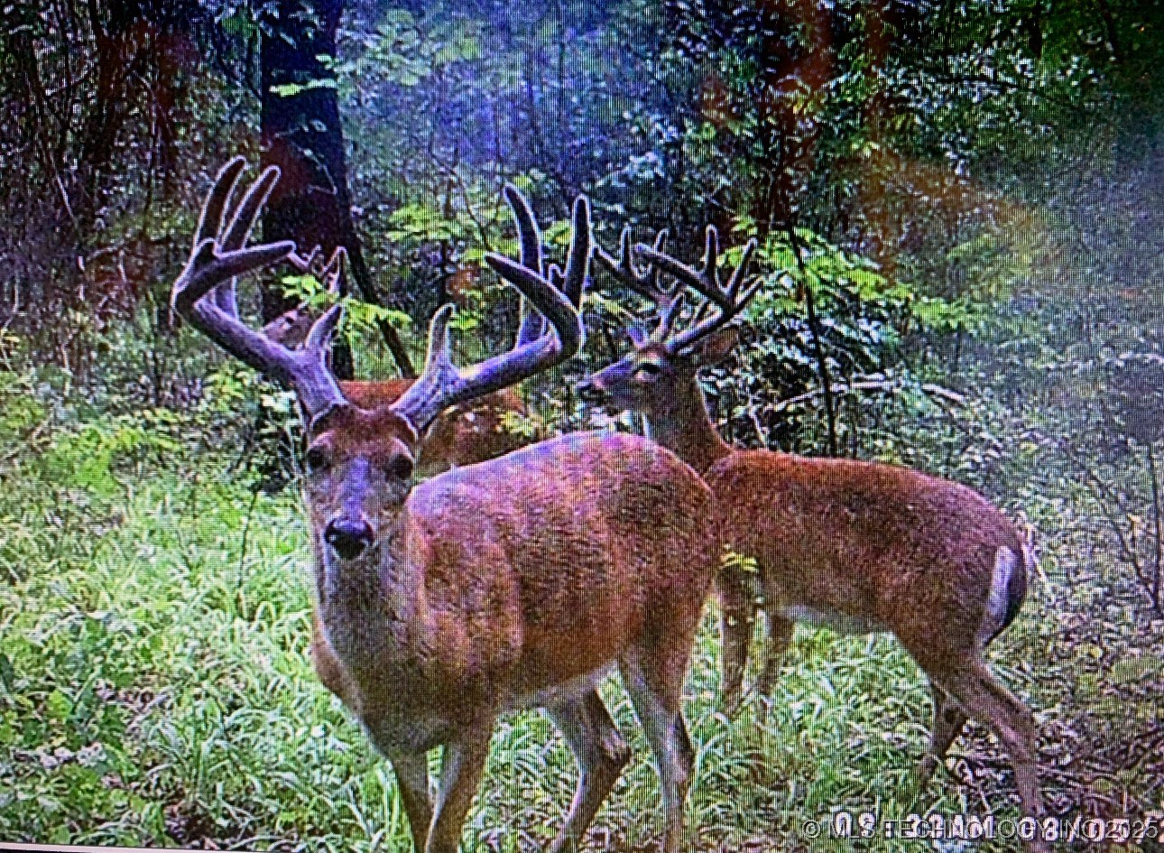 10698 S Childrens Lane Property Photo 43