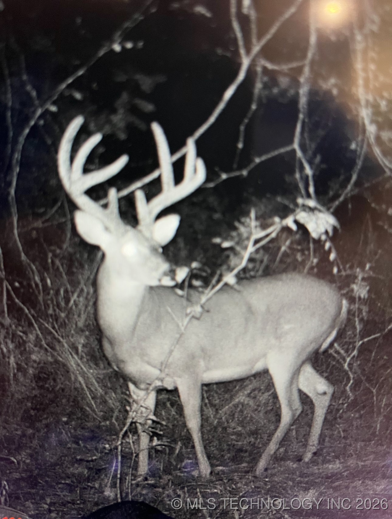 10698 S Childrens Lane Property Photo 44