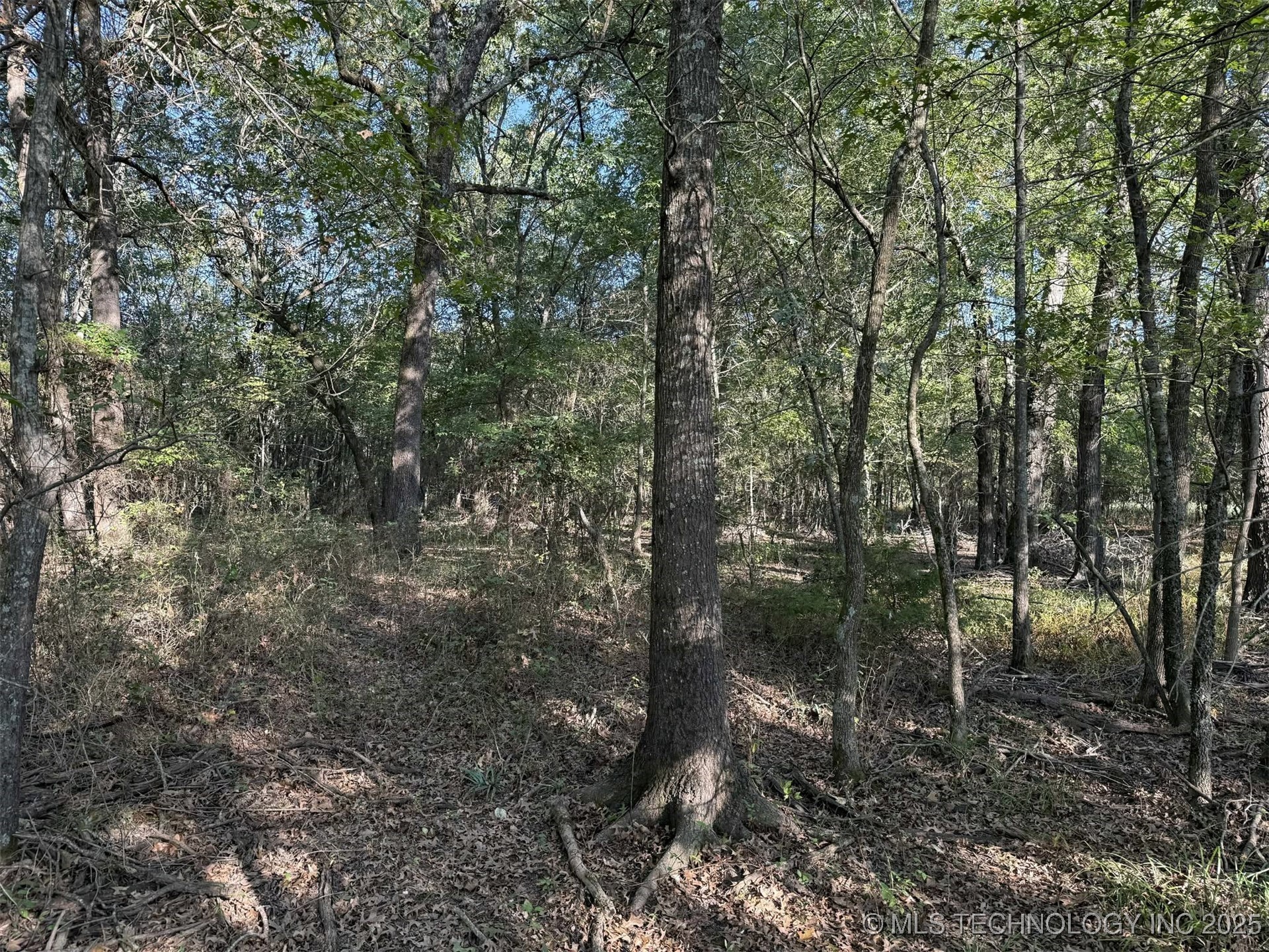 Rural Route Property Photo 6