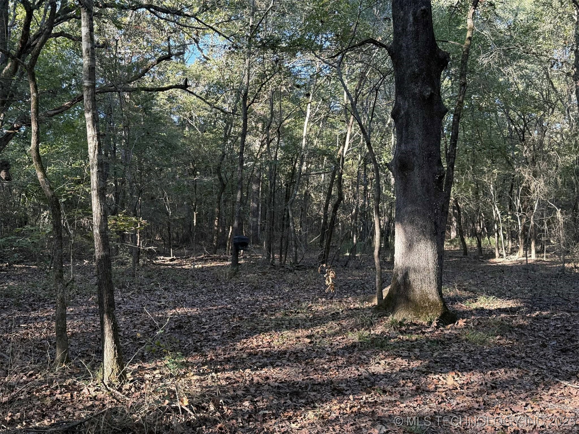 Rural Route Property Photo 10