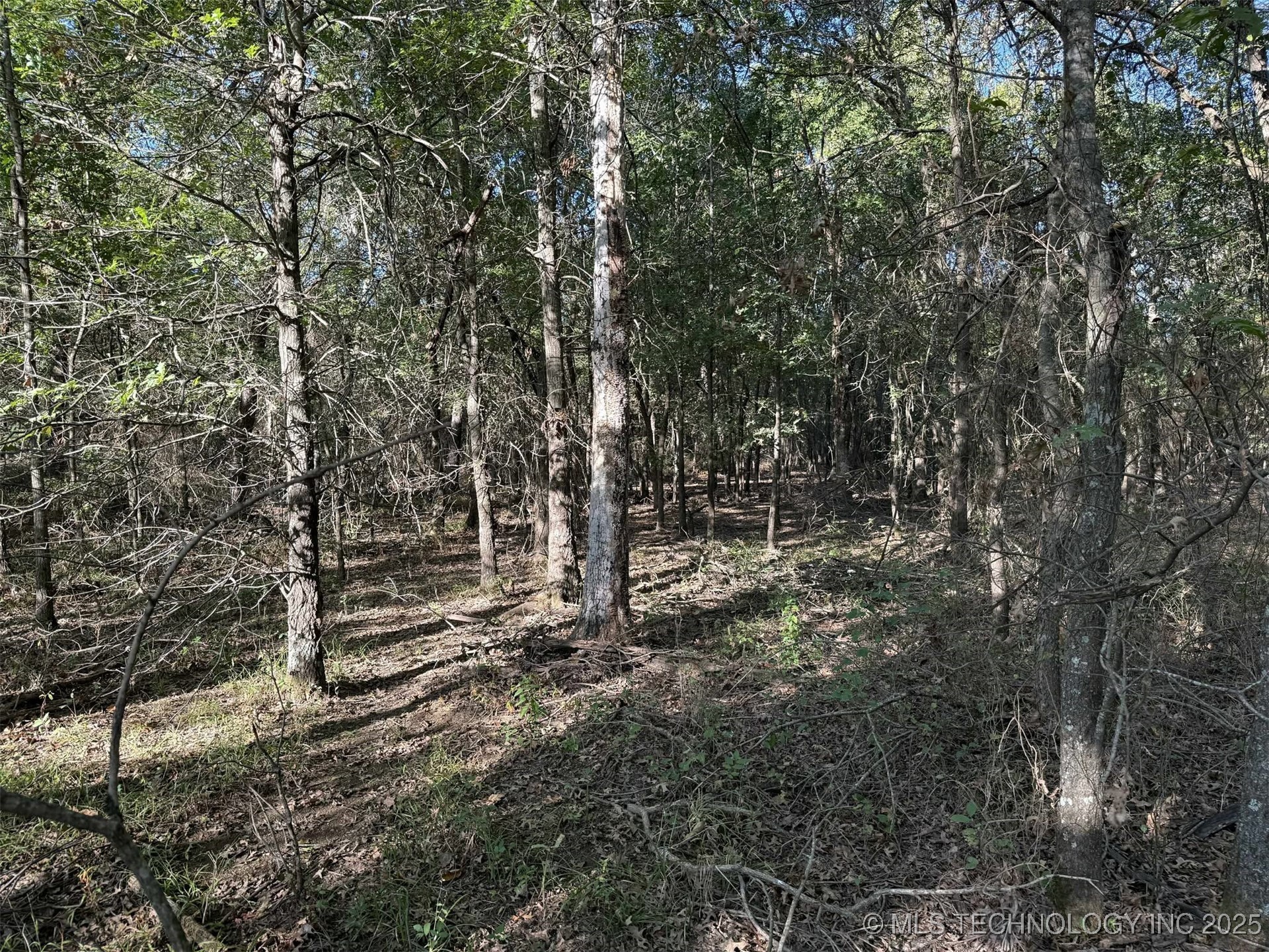 Rural Route Property Photo 12